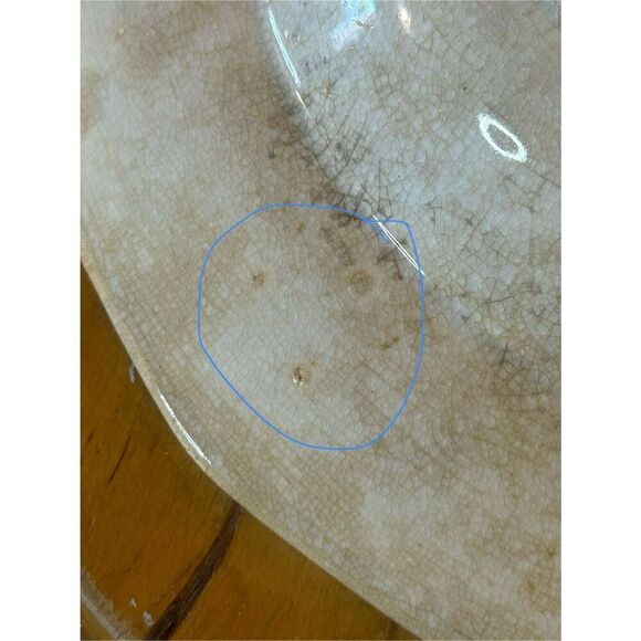 Antique J Wedgwood Tyrol Ironstone Transferware Polychrome 10.5” Bowl(8947) - Picture 10 of 13